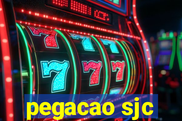 pegacao sjc